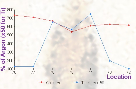 The Vinland Map: Hoaxes within hoaxes